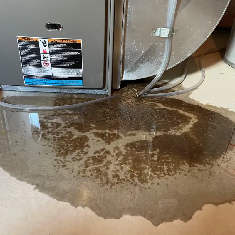 Appliance Leak Cleanup in East Lake, FL